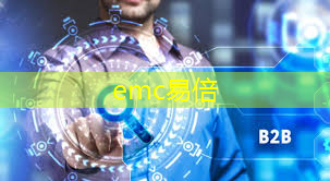 emc易倍：“探讨虚拟现实技术的可行性：全面概述”