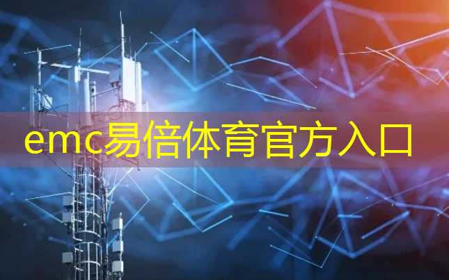 emc易倍体育官方入口：奎芯科技王晓阳出席2024中国人工智能大会，推动AI芯片