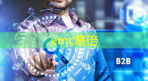 emc易倍体育官方网站：AI算力：2024 ASIC芯片研究