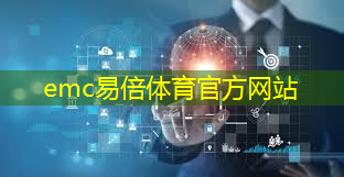 城市进化的火花：揭开未来城市在智慧城市背景下的发展奥秘