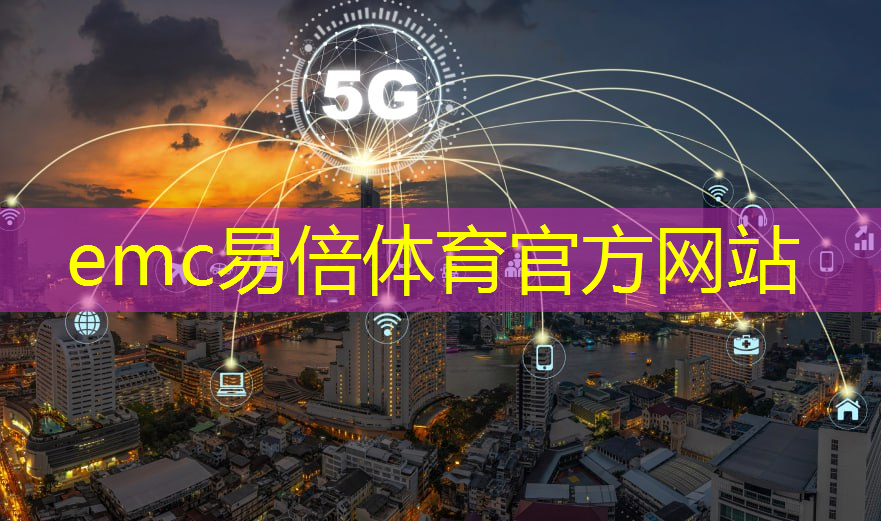 emc易倍：大名县城市停车场智慧改造项目