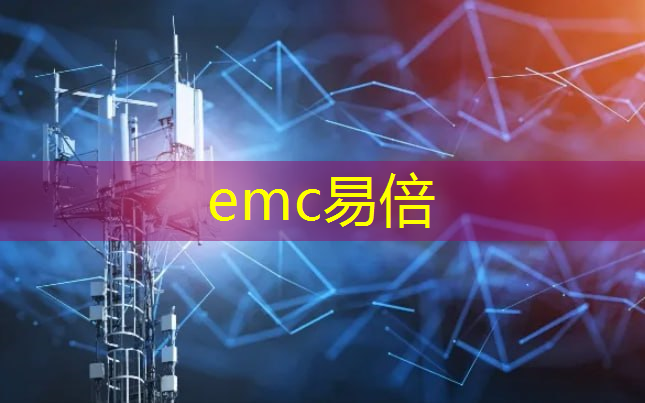 emc易倍体育官方入口：物流行业的智能眼镜